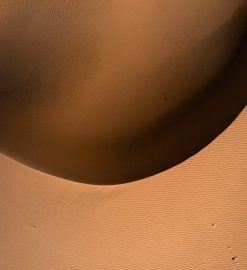 letra de canciones a la virgen de guadalupe pdf