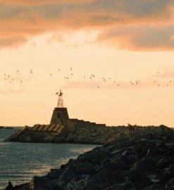 roca goderich 5ta edición pdf gratis